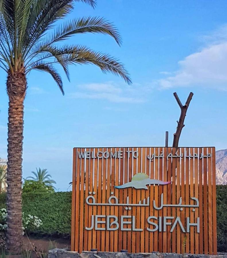 The Vibez - Jebel Sifah Muscat