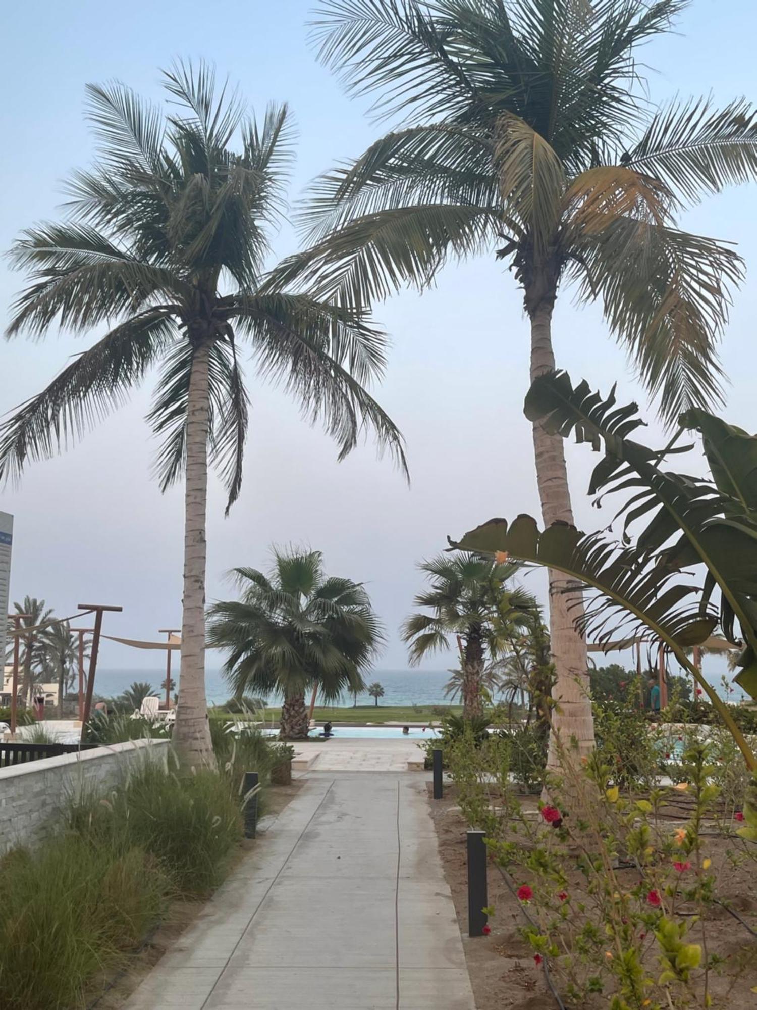 The Vibez - Jebel Sifah Apartment *